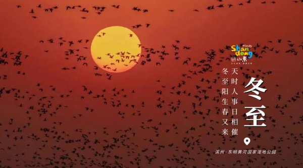 用二十四節氣開啟山東，齊風魯韻美如畫