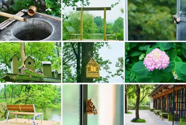 人間四月芳菲盡,西溪繁花始盛開 人間四月芳菲盡,西溪繁花始盛開