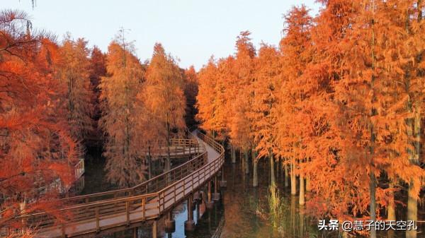 更年期故事：腹痛14年，骨瘦如柴的她夏天冷到穿羽絨服