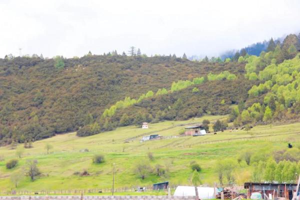 駕探嶽去秘境藏地