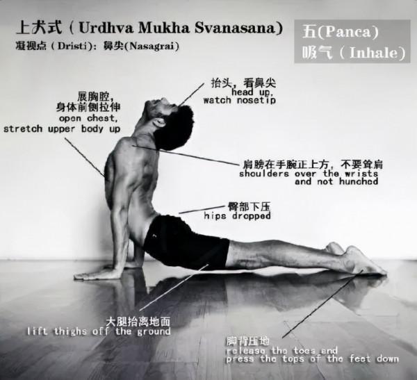 瑜伽乾貨分享：1個小技巧，遠離手腕疼