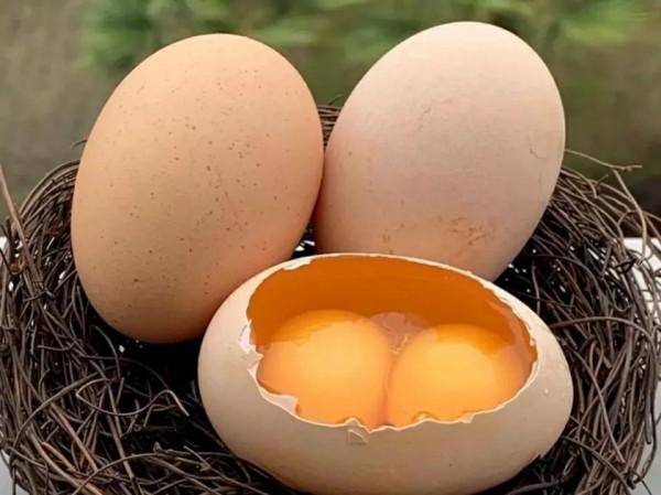 入秋後女性記得吃9種食物，葉酸含量高，價格不貴，人人吃得起