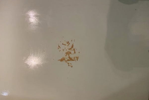 自清潔掃地機器人到底怎麼樣？科沃斯X1、石頭G10、追覓W10橫評