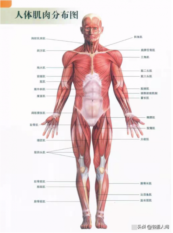 運動會讓人身心愉悅、人際關係良好，是有科學依據的