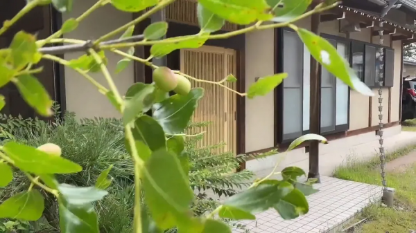 女碩士攢100W去留學,卻放棄當外交官,下嫁日本農村做家庭主婦? 女碩士攢100W去留學,卻放棄當外交官,下嫁日本農村做家庭主婦?