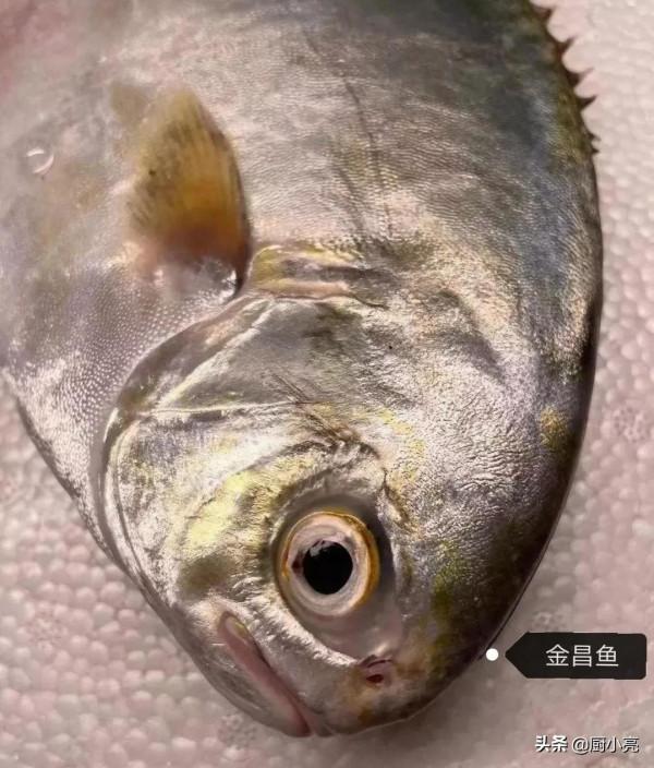 這12種深海魚的吃法，簡單、營養又美味！冬季多吃魚，補鈣又健腦