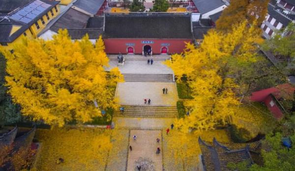 一入秋，南京就成了金陵