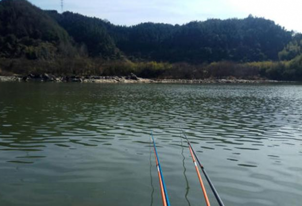 初春釣魚，要知道&OpenCurlyDoubleQuote;4釣、4不釣&rdquo;，瞭解清楚，新手也能輕鬆爆護