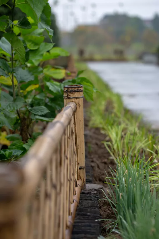 聯莊村：一個＂整＂出來的野趣盎然江南水鄉