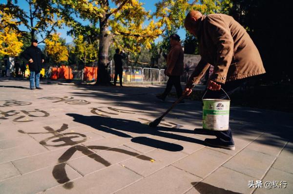 再有半個月，北京將迎來最美的季節，12個銀杏寶藏地，附機位攻略