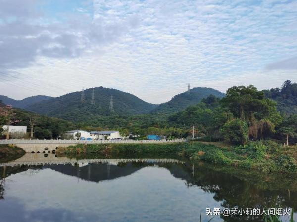 塘朗山&plus;深雲谷，我一天連爬這兩座山，也是沒誰了