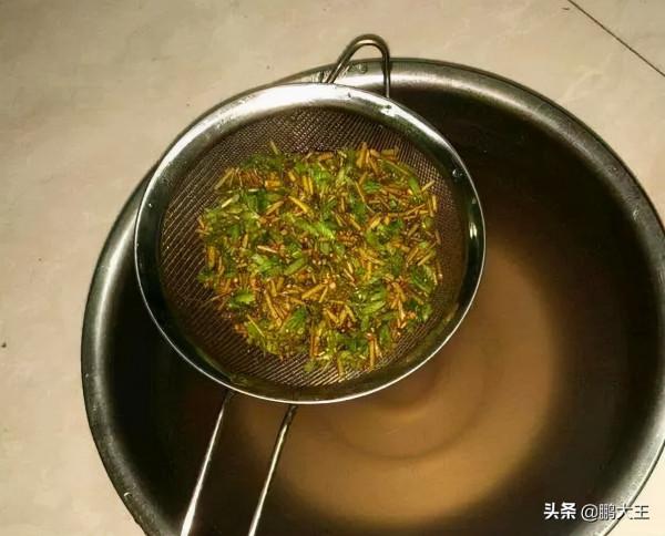 自制3種“開花水”,每2天給花澆一點,葉片油綠,花朵開不停 自制3種“開花水”,每2天給花澆一點,葉片油綠,花朵開不停