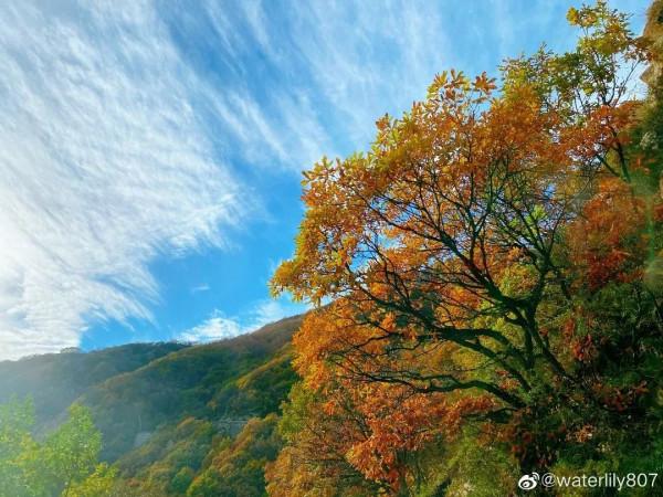 京郊藏了一條絕美國道，承包了京城最美秋色，秋意正濃，如詩如畫