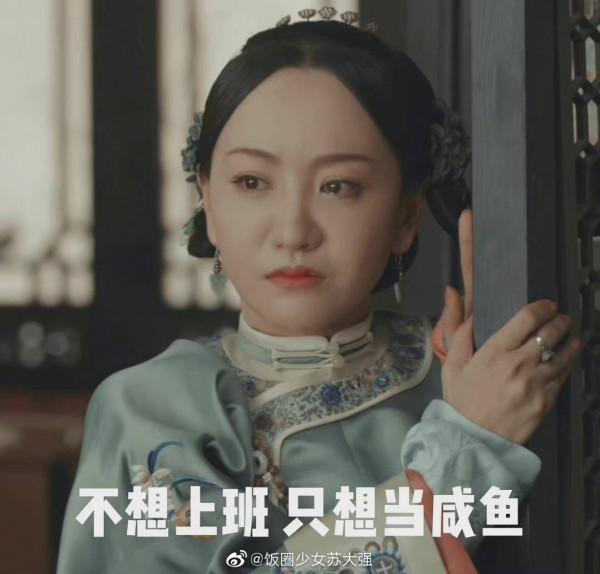 11.8劇：龔俊，蔣勤勤楊蓉，劉學義，陳星旭，楊冪，陳坤，吳磊