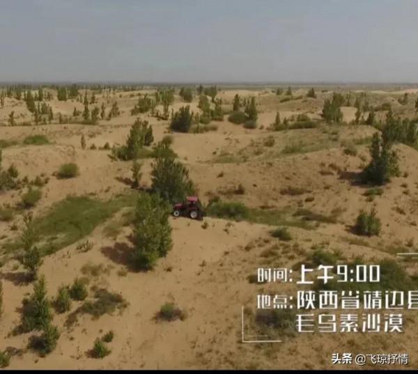治沙女傑:37年前負債累累,承包11萬畝荒沙,種2800萬棵樹,為啥 治沙女傑:37年前負債累累,承包11萬畝荒沙,種2800萬棵樹,為啥