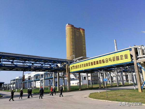 高價肥料如何選肥?“大單套”真不賴,讓你省錢還多收 高價肥料如何選肥?“大單套”真不賴,讓你省錢還多收