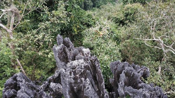 觀鳥兩年——每日期待著與鳥兒的邂逅，踏上了追逐鳥兒的征程