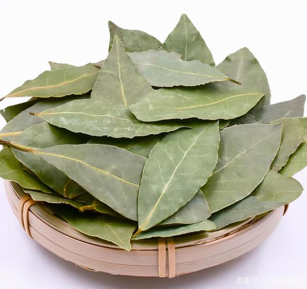 可收進廚房的烹飪香料(收藏起來再看)一 可收進廚房的烹飪香料(收藏起來再看)一