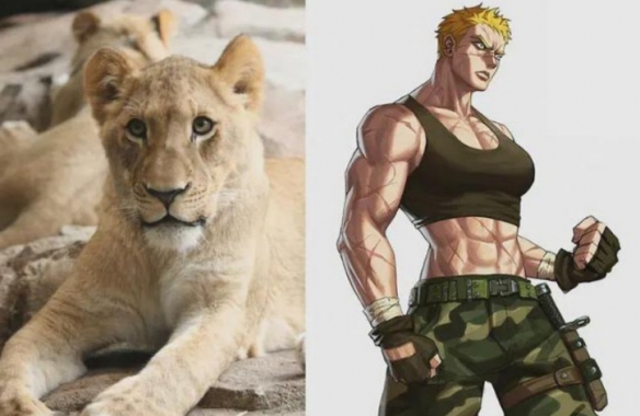 冷門動物擬人 這麼不萌的品種都可以的嗎？