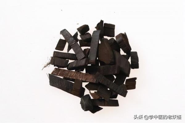 收斂止血要藥——棕櫚炭 收斂止血要藥——棕櫚炭