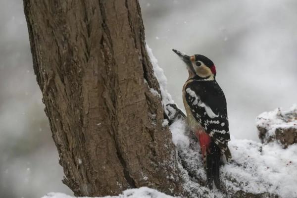 讓人直呼“哇噻”,房山這兩地的雪景大片,你一定得看看 讓人直呼“哇噻”,房山這兩地的雪景大片,你一定得看看