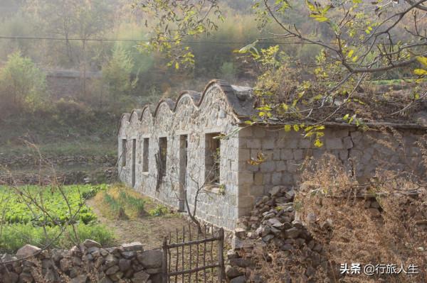 禾火的故事 禾火的故事