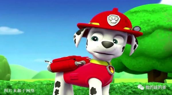 （汪汪隊立大功）毛毛的狗狗功夫