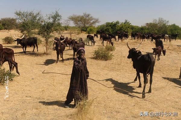 「查德」走進“查德湖”上的島嶼村莊