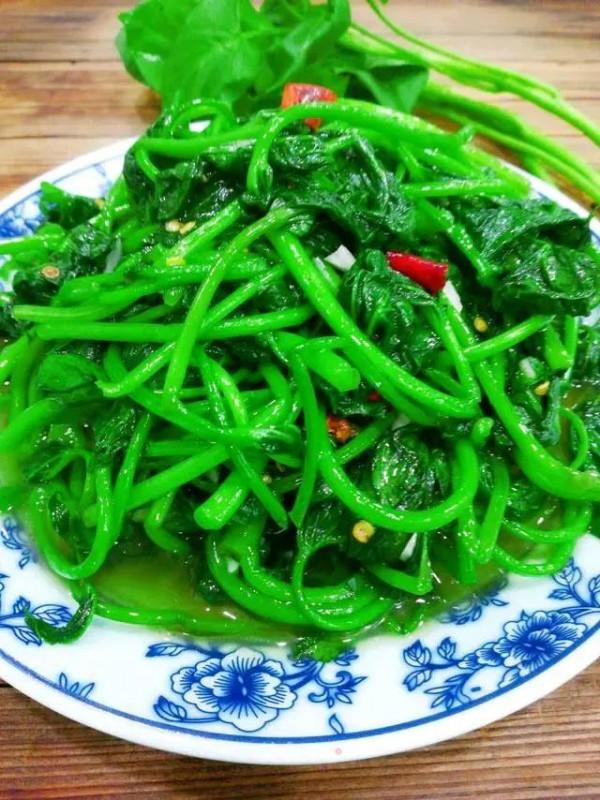 種青菜根,吃完不要扔,插進花盆,澆澆水,20天長成“小菜園” 種青菜根,吃完不要扔,插進花盆,澆澆水,20天長成“小菜園”