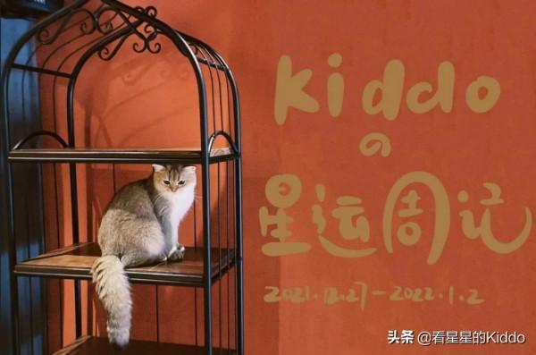 Kiddoの星運週記丨2021.12.27~2022.1.2