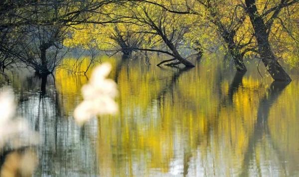 袁新錄｜人間仙境莊上許亭