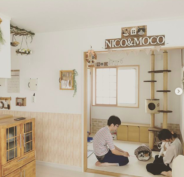 日本小夫妻曬精緻2人居，沒辦婚禮沒有生娃，卻把日子過成了詩