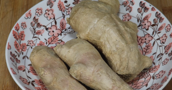 生薑放入絞肉機，想不到作用這麼厲害，簡單又實用，太棒了