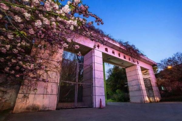 18年高考712分，拒清華北大，執意去四川大學，李一峰：賺更多錢