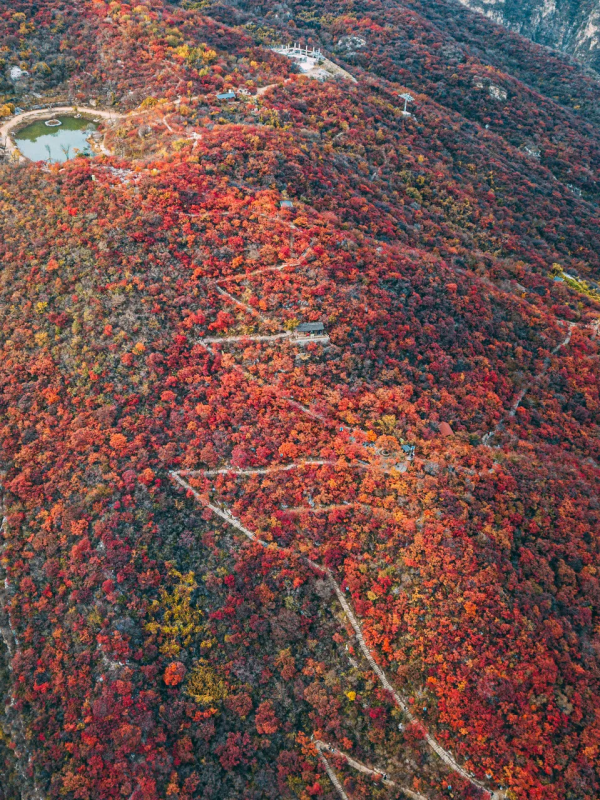 在北京過個秋天，立刻退掉了去騰衝的機票