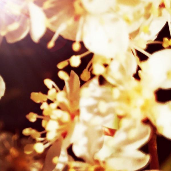 教學之道一一課堂切入點