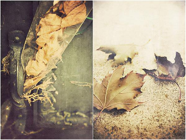 詩歌：我愛大山（外三首）