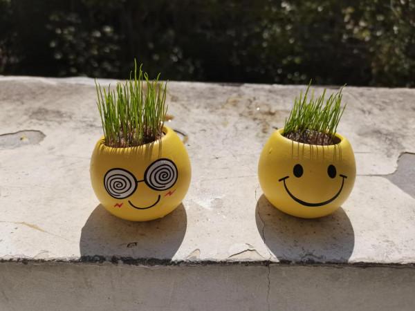 三分鐘熱度之後帶來的到底是什麼? 三分鐘熱度之後帶來的到底是什麼?