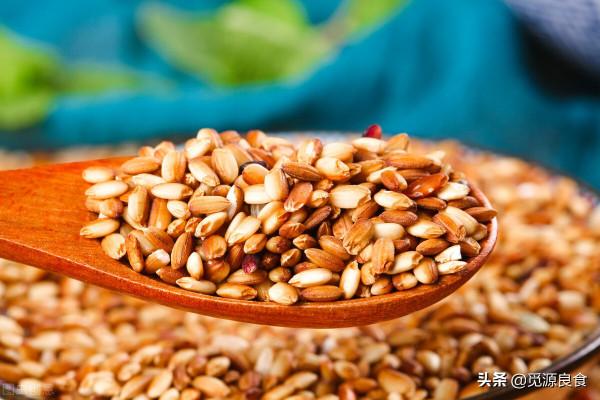 麻黍稷麥菽與大米有什麼區別？為什麼口味單調的大米就成了主食？