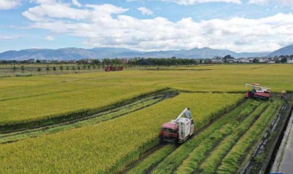 今年我國多地水患,通報卻稱十年中災情最輕,產糧也更多,咋回事 今年我國多地水患,通報卻稱十年中災情最輕,產糧也更多,咋回事