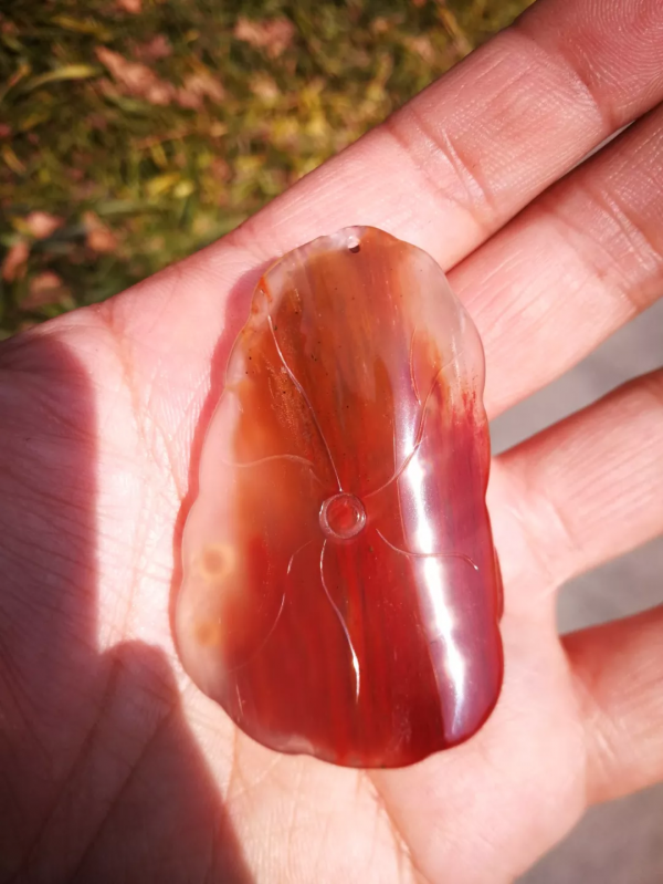 木頭居然能變成玉石！還標價10億人民幣？