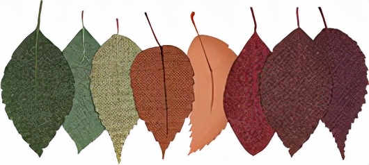 一波三折！面試N次，好不容易請到女傭，她卻進了新加坡警察局