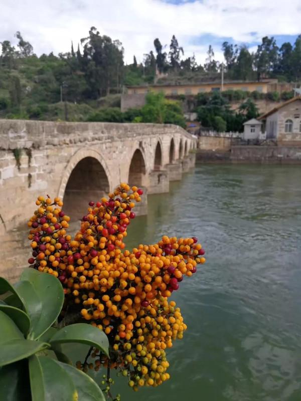無海的雲南卻有個海口—第一任省長與川字閘（一）