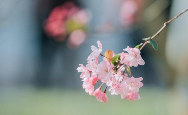 關係再好,也要注意“分寸”,一不小心就會得罪人 關係再好,也要注意“分寸”,一不小心就會得罪人