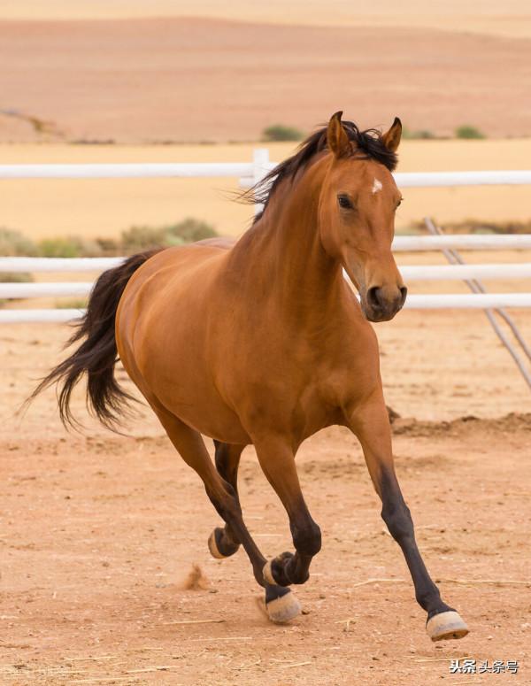 日久見人心 日久見人心