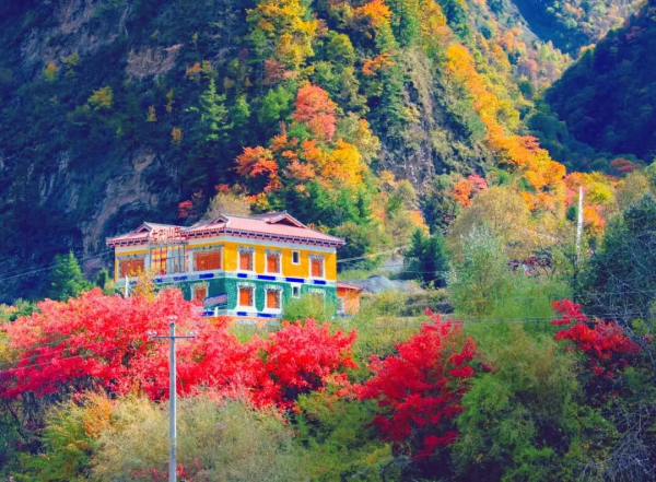 紅葉最佳觀賞期！這些地方全都美成了仙境，趕緊出發