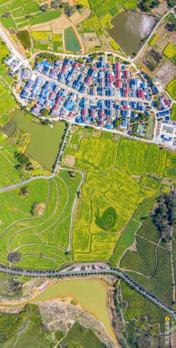 南京高淳,為何值得一去? 南京高淳,為何值得一去?