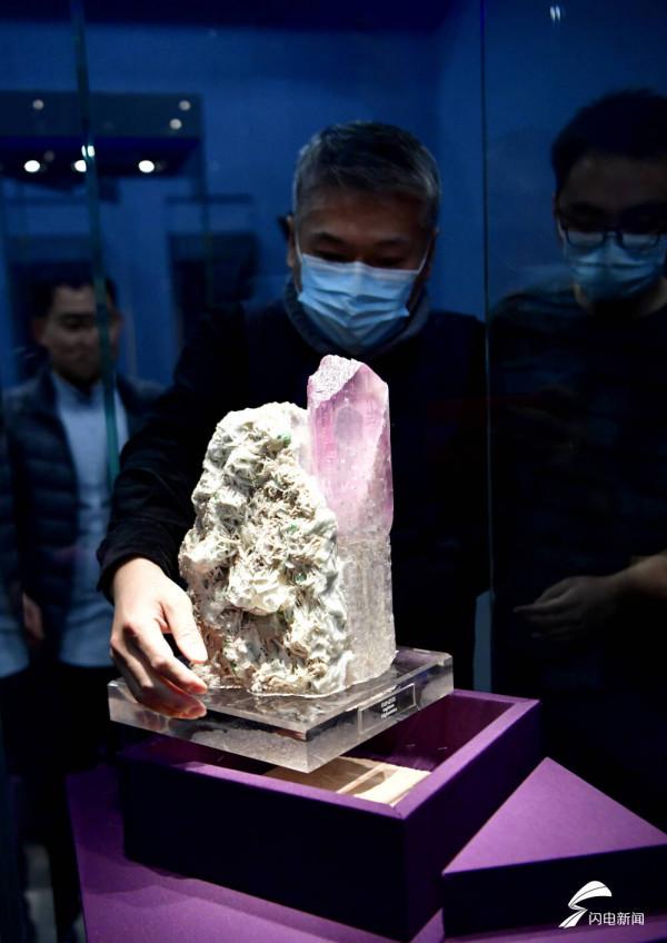 恐龍里的“山東大漢”！巨型山東龍11年後重現省博 山東博物館兩大新展即將上演