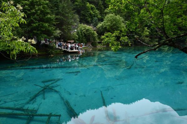九寨溝——詳細自由行攻略+親自體驗