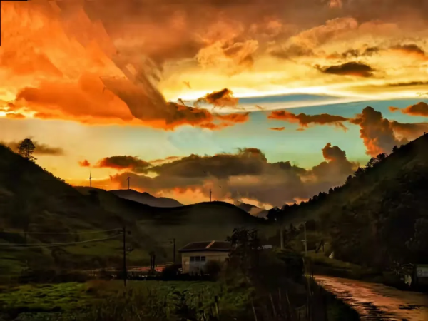 培訓機構集體陣亡，爸爸自己披掛上陣